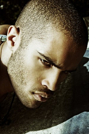 Model portfolio
