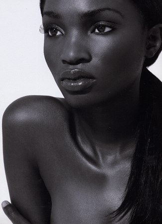 Model portfolio