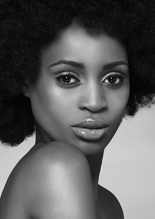 Model portfolio