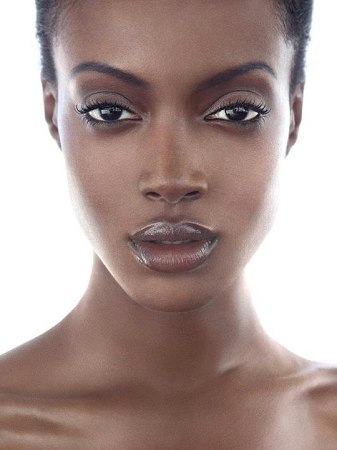 Model portfolio