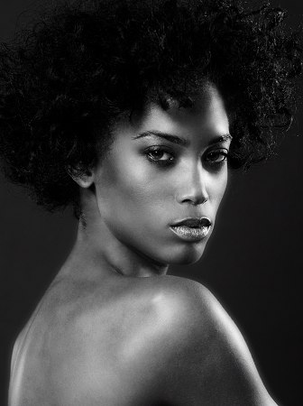 Model portfolio