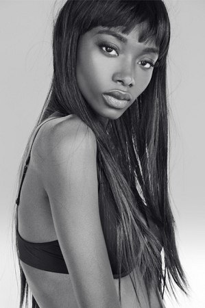 Model portfolio
