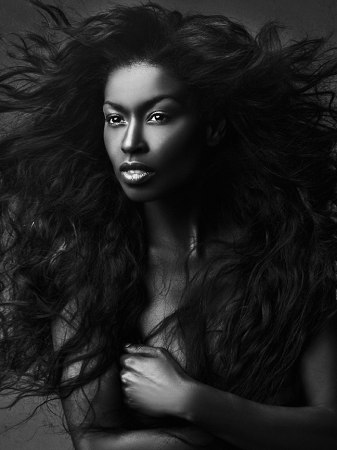 Model portfolio