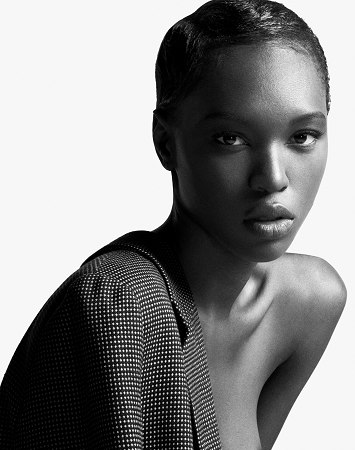 Model portfolio