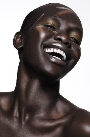 Model portfolio
