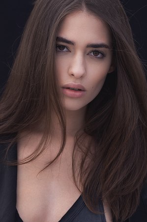Model portfolio