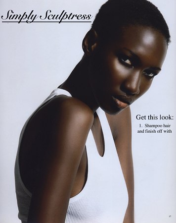 Model portfolio
